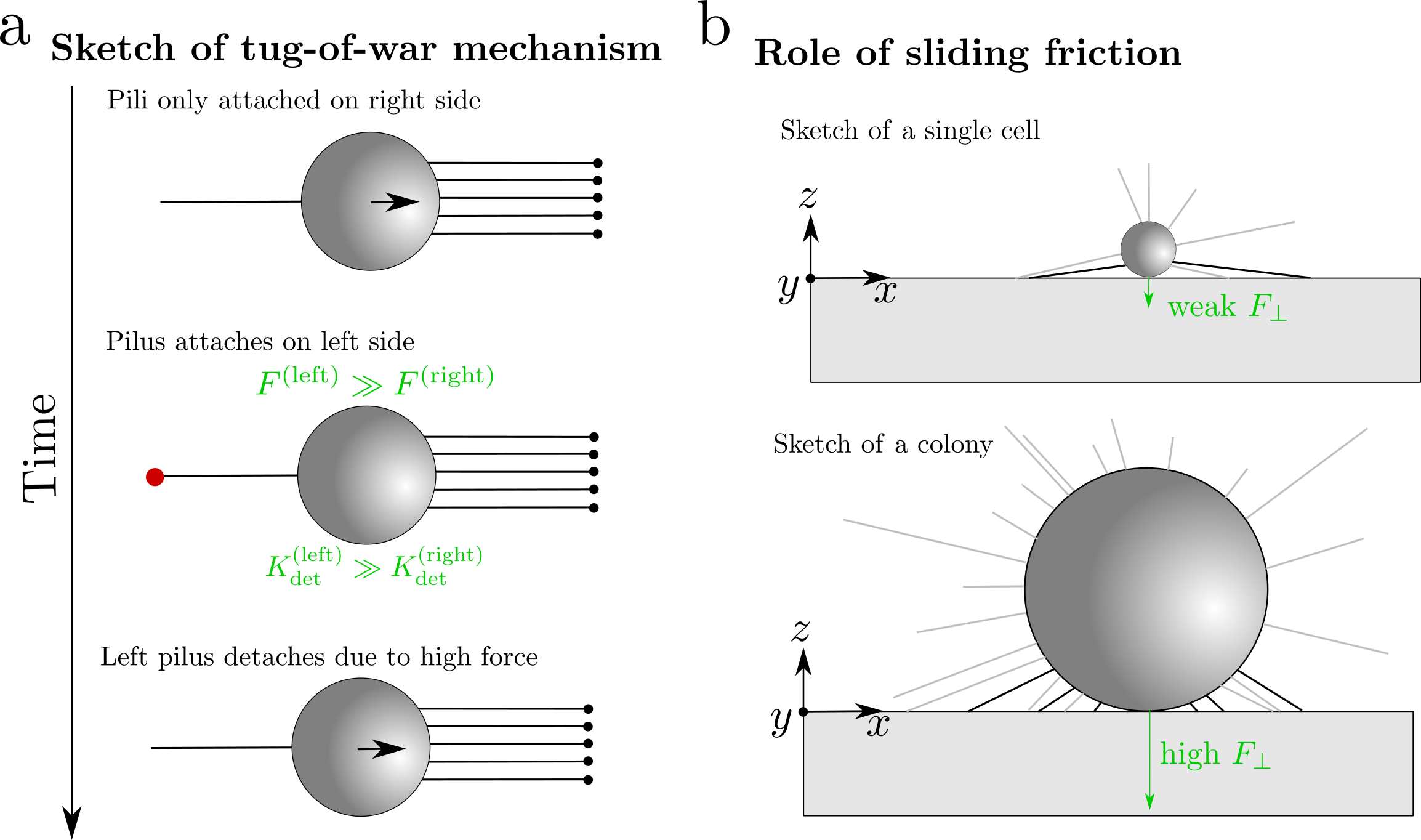 sketch_mechanism